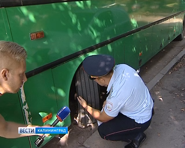 В Калининграде задержали автобус «факел»