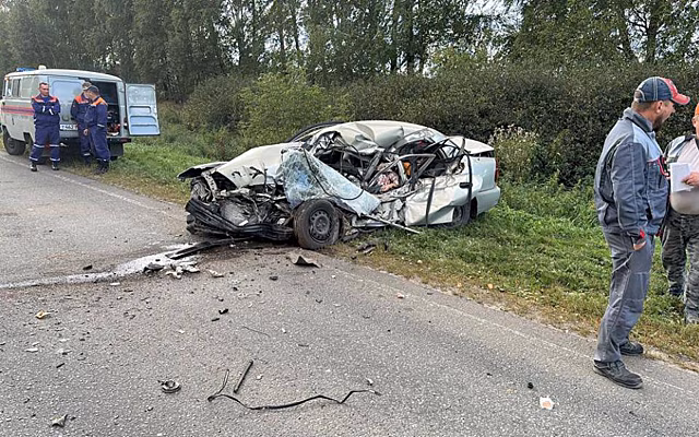 Число погибших в аварии под Рязанью выросло до двух