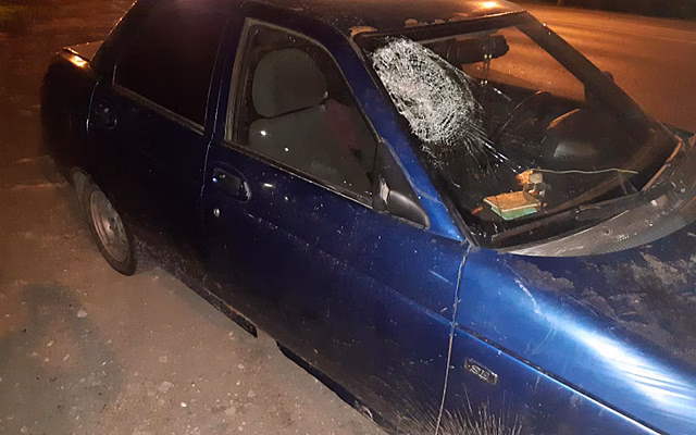 В Рязани ВАЗ сбил жителя Турлатова на М-5