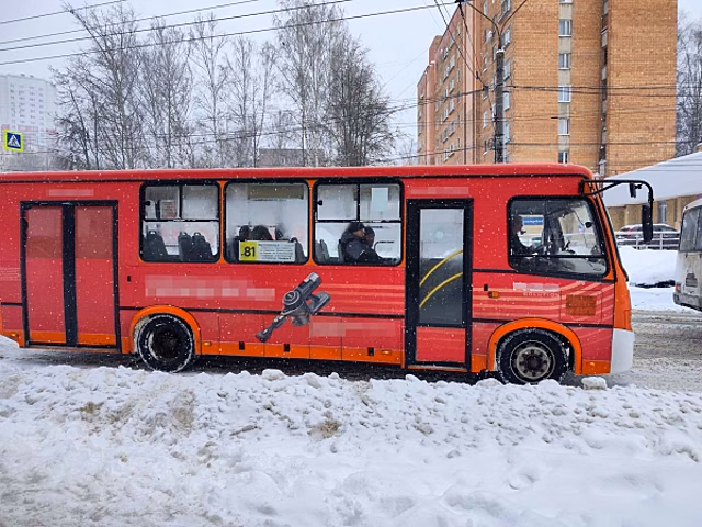 Сбил на дороге женщину: что известно о водителе автобуса, устроившем ДТП с поездом в Хабаровске