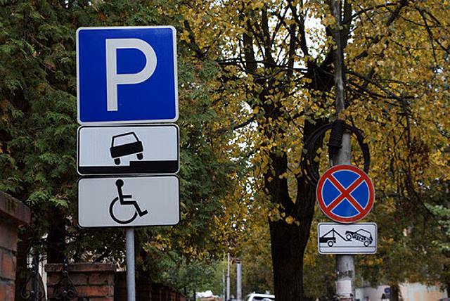 В Калининграде у городских лесов появятся новые парковки