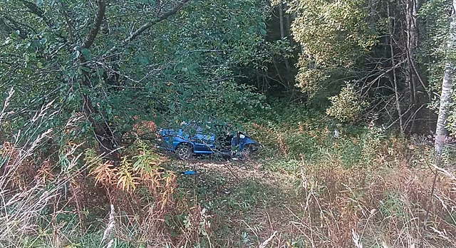 Трое человек пострадали из-за пьяного водителя в Костромской области