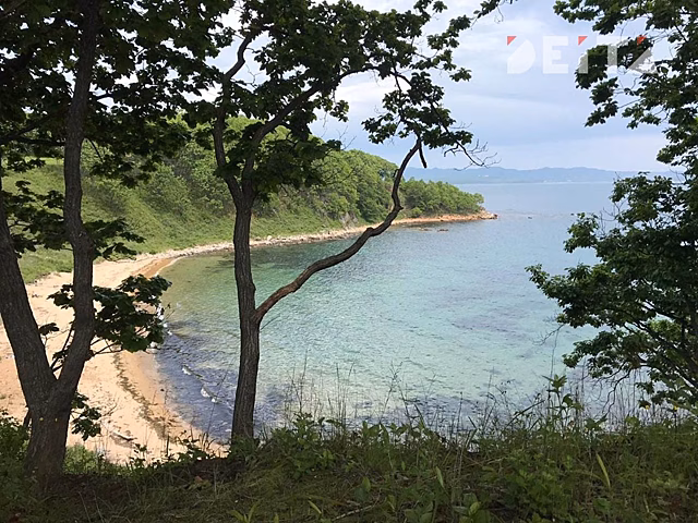 Водитель гидроцикла, наехавший на девочек в бухте Троица в Приморье, оказался туристом из Хабаровска