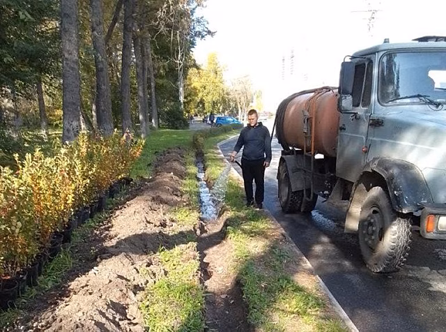 Сирень, пузыреплодник и кизильник украсят пять улиц Челябинска до конца октября