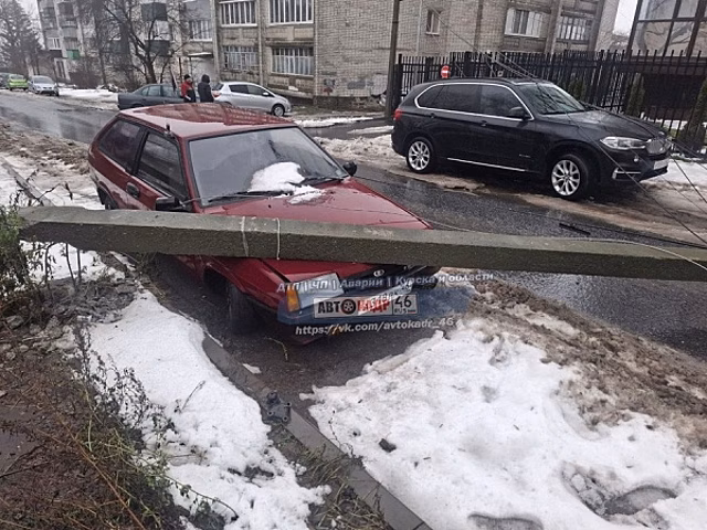 В Курске на улице Халтурина столб и дерево упали на припаркованный автомобиль