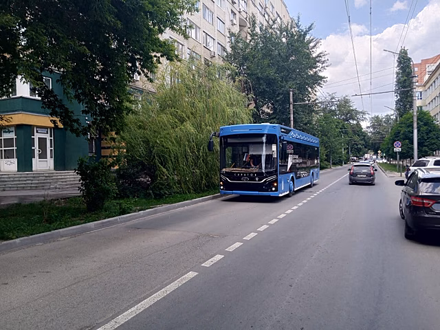 После катания на троллейбусе жительница Саратова оказалась в больнице