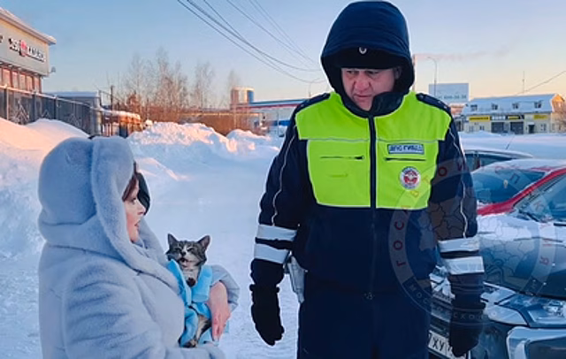 Инспекторы ДПС спасли застрявшего под капотом кота в Подмосковье
