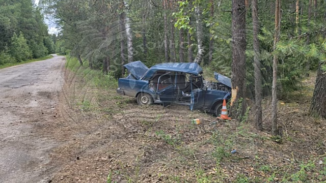 В Шуйском районе ВАЗ влетел в дерево