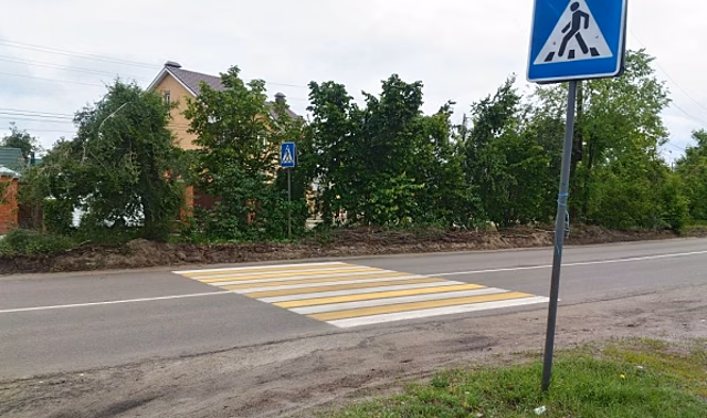 В Воронеже сфотографировали пешеходный переход, ведущий в кучу грязи и кусты