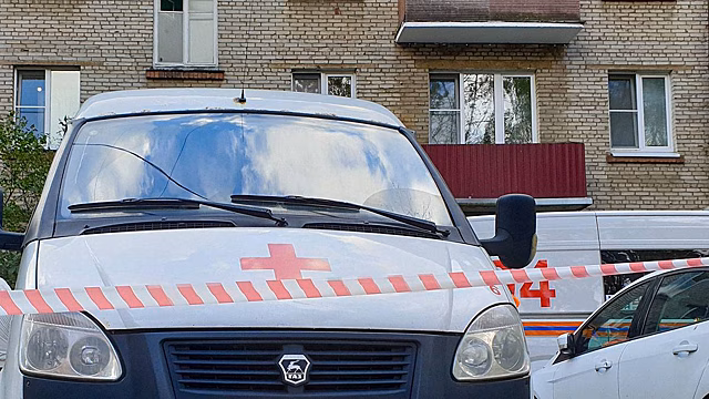 Две собаки упали в открытый колодец в кузбасском городе