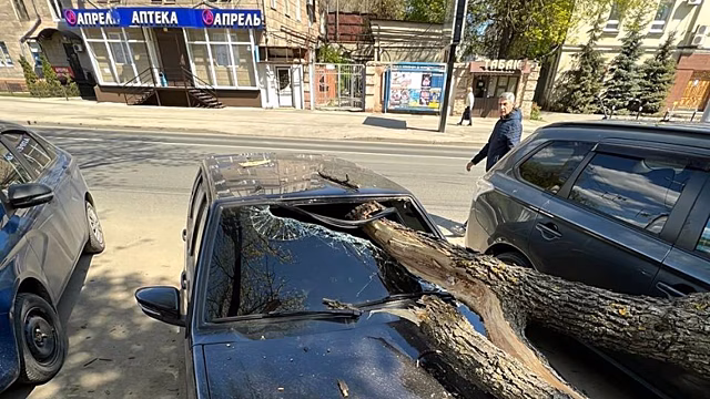 В центре Саратова упавшее дерево повредило два автомобиля