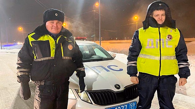 В Перми автоинспекторы помогли женщине с ребёнком, чей автомобиль сломался на трассе в сильный мороз