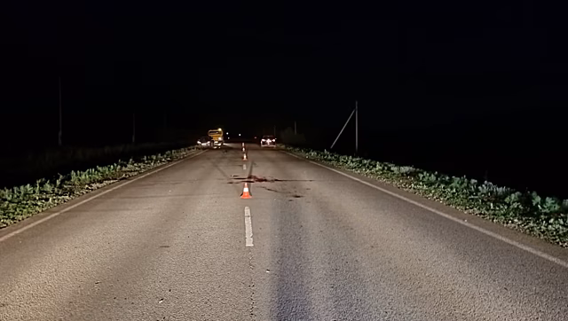 В Бугурусланском районе ночью на трассе сбили пешехода