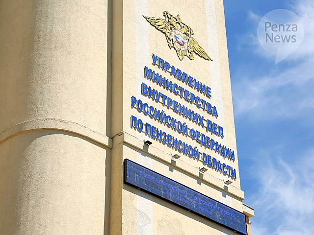 Пензенская полиция подвела итоги работы по охране общественного порядка в новогоднюю ночь