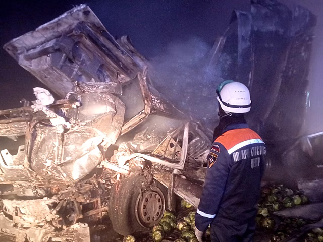 ДТП с большегрузами под Пензой унесло жизни двоих человек
