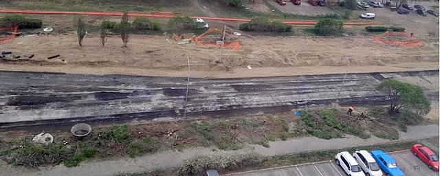 В Омске на Крупской спилили аллею шаровидных ив