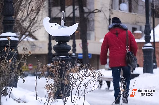 В Екатеринбурге квартальных инспекторов наделят властью наказывать вандалов
