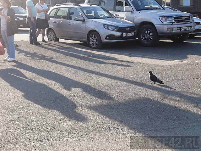 ДТП произошло в одном из районов Кемерова