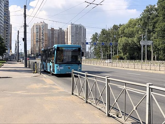 В Петербурге обнаружили автобус-призрак с недоброжелательным водителем-мигрантом