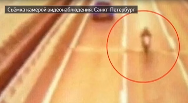 Мотоциклисту, рассыпавшему на дороге в Петербурге 12 млн рублей, вернули 4 млн