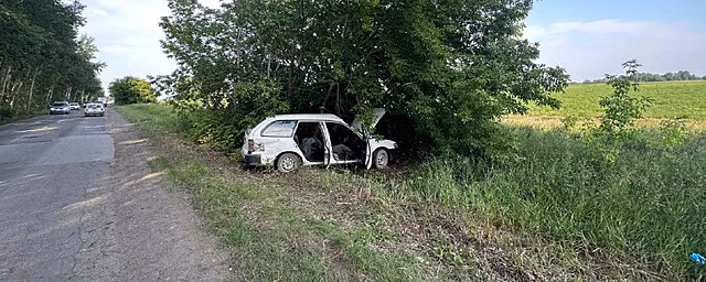 В Бердске произошло смертельное ДТП