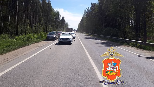 Полиция начала проверку после ДТП с лосем на трассе в Подмосковье