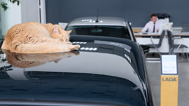 Продажи новых автомобилей в России в первом полугодии сократились на 28%