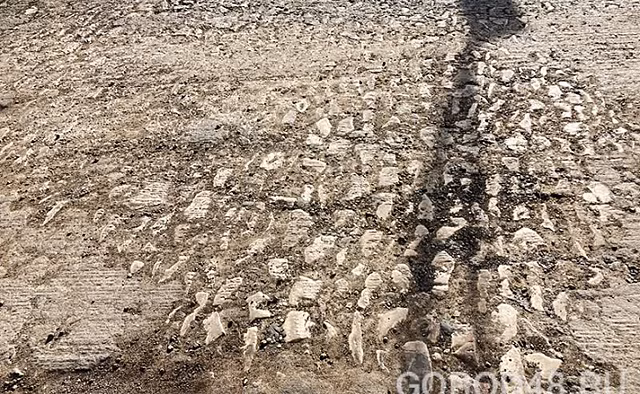 В Липецке на улице Зегеля откопали мостовую XIX века