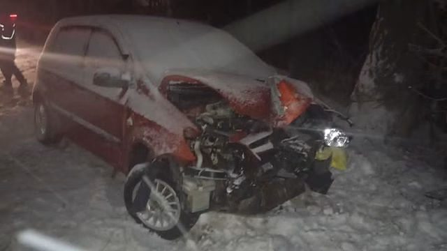 В Саратове двое нетрезвых мужчин на «Hyundai» протаранили дерево