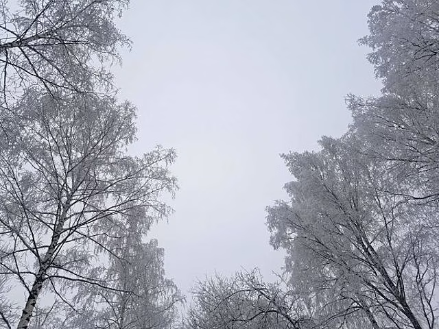 В Свердловской области побит 47-летний температурный рекорд