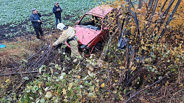 В Курской области ВАЗ вылетел в кювет, пострадала женщина-водитель
