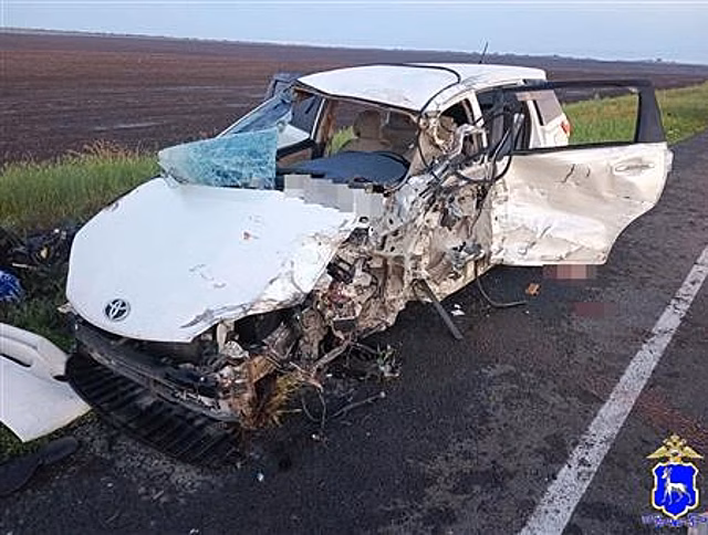 В Алексеевском районе на "встречке" минивэн столкнулся с грузовиком