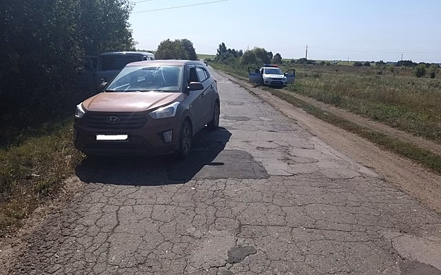 В Скопинском районе москвичка на Hyundai сбила женщину