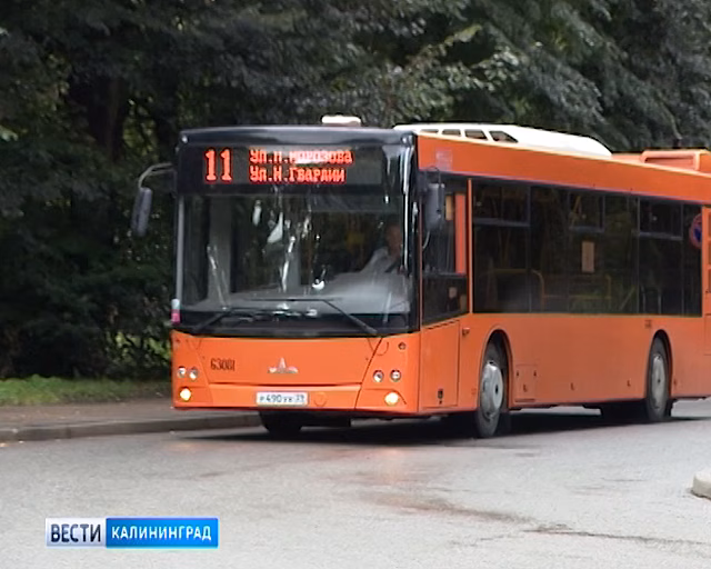 В Калининграде изменится часть маршрутов общественного транспорта