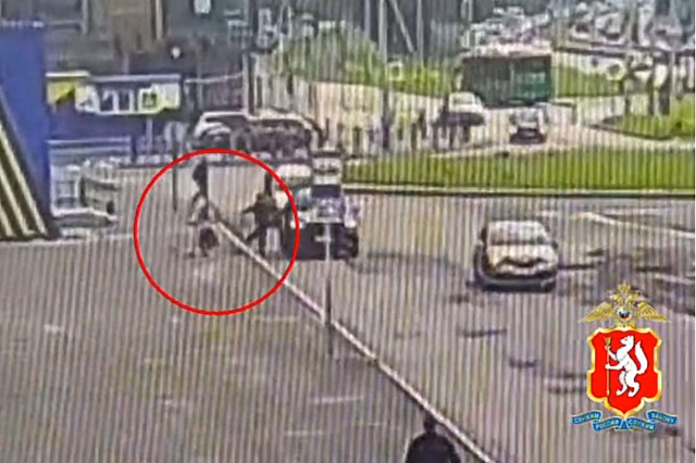 В Екатеринбурге машина сбила ребенка, убегавшего от агрессивной собаки