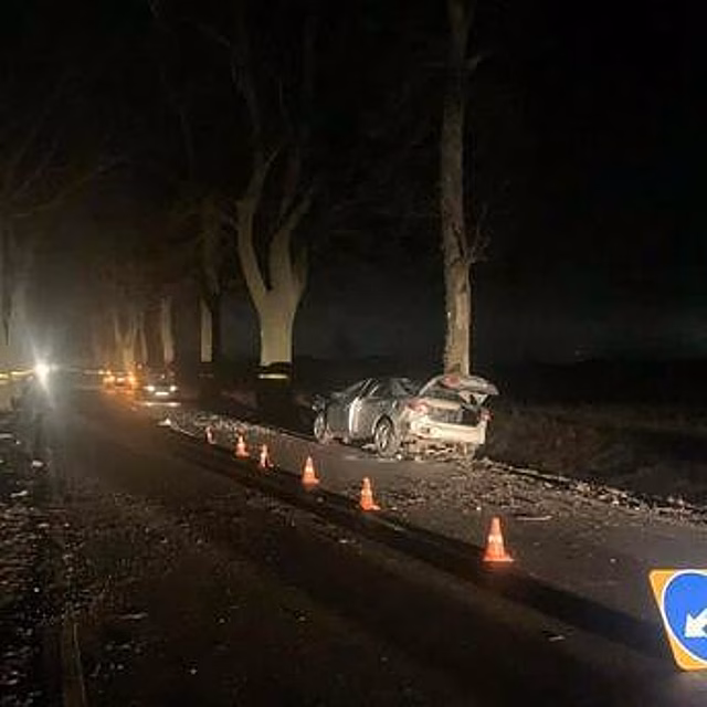 Под Правдинском легковушка вылетела на встречку и врезалась в два дерева
