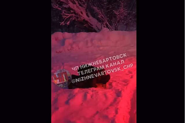 В Югре водитель автобуса держал пассажиров на морозе, потому что совершал намаз