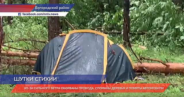 Палаточный лагерь в Богородском районе завалило рухнувшими деревьями