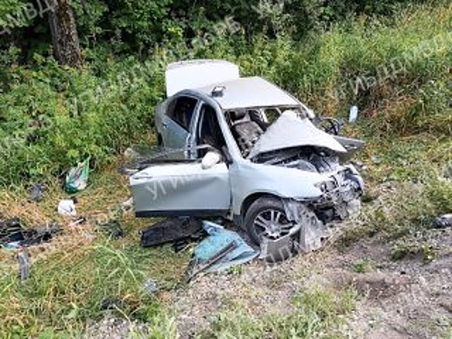 В Башкирии во встречном ДТП погибла женщина, пострадали двое детей