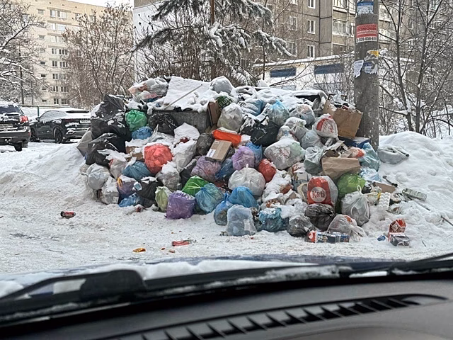 Нижегородцы массово сообщают о мусорном коллапсе во дворах