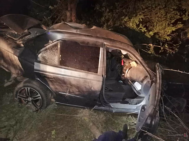 На скорости врезался в дерево: под Волгоградом в ДТП погиб 30-летний водитель
