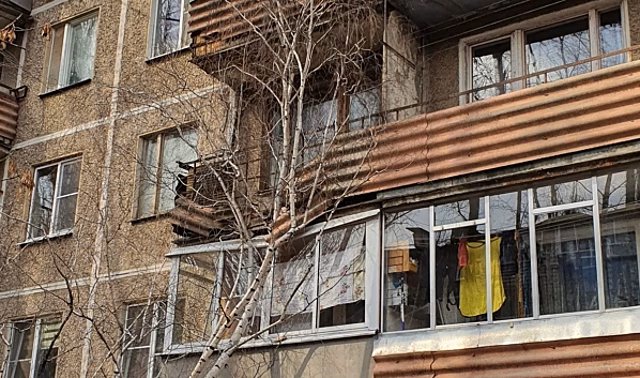 В Воронеже рухнувшее дерево повредило балконы пятиэтажки на улице Героев Сибиряков