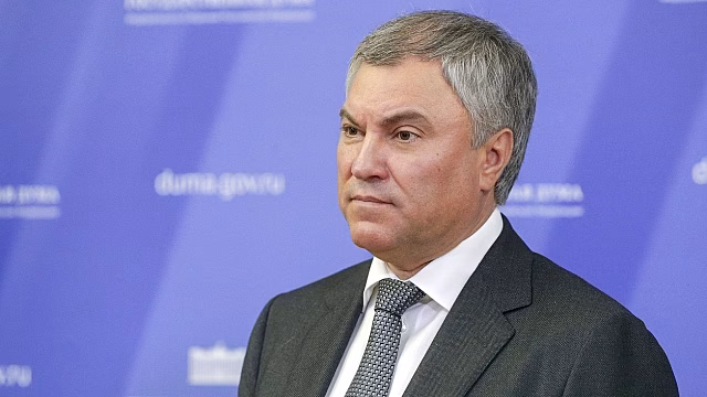 Володин: ЕСПЧ остается признать доводы РФ, или в этом органе нет смысла