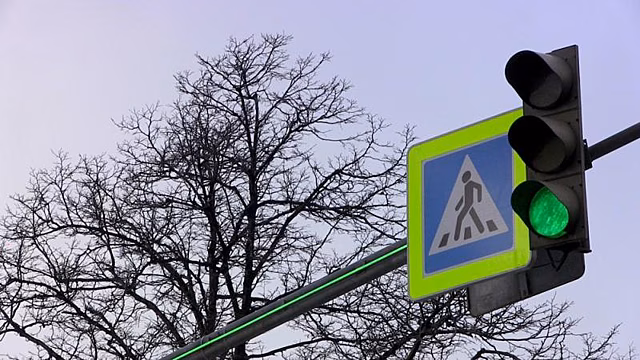 В Москве проверят удобство расположения пешеходных переходов возле школ