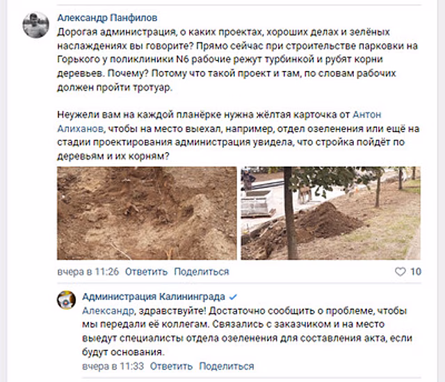 Возле поликлиники на Горького дорожники изрезали корни молодых лип, чиновники пообещали проверить аллею
