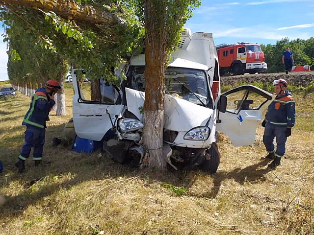 Водитель грузовика врезался в дерево у памятника воинам-водителям в Саратове