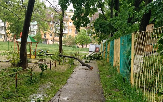 СК начал проверку по факту гибели женщины после падения на неё дерева в Рязани