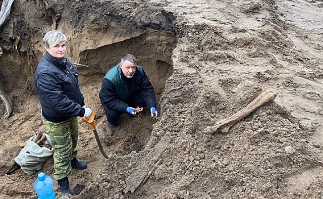 В Курске обнаружили останки 16 человек времён Великой Отечественной войны