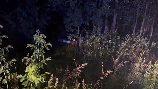 Два человека пострадали в ДТП с лосем в Шатковском округе