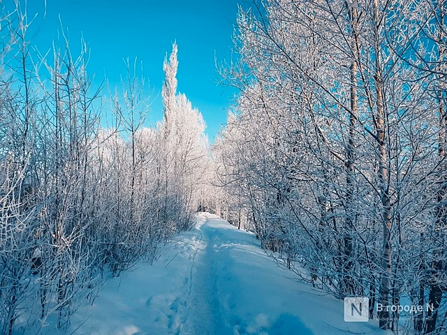 Похолодание ожидается в Нижнем Новгороде с 3 февраля
